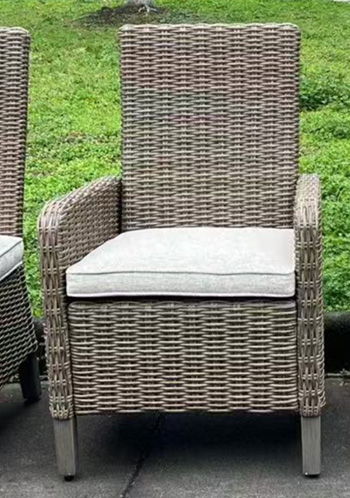 Laguna Heights - Arm Chair With Cushion (Set of 2) - Beige